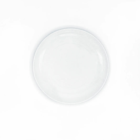 Dinner Plate Porcelain 2-Pack